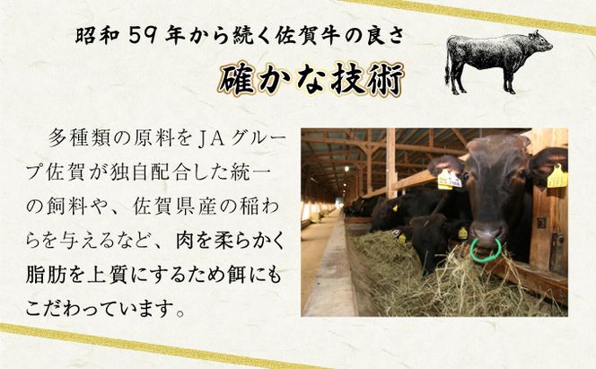 200g 佐賀牛サーロインステーキ B-954