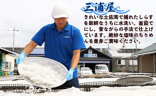 三浦屋海産 ちりめん2種 組み合わせ選べる2パック（釜あげ・釜出し） - 送料無料 釜揚げしらす 釜出ししらす 新鮮 ふりかけ お弁当 おべんとう お昼 夕食 夕飯 丼 簡単 料理 アレンジ 一品 魚 さかな 肴 高知県 香南市【冷蔵】 mu-0003