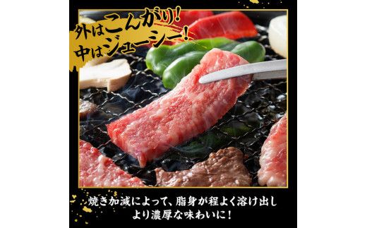 宮崎牛 カルビ焼肉 500g 【 肉 牛肉 国産 宮崎県産 黒毛和牛 カルビ 焼肉 】[D11428]