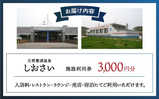 【天然豊浦温泉しおさい】施設利用券 3,000円分 TYUAA003