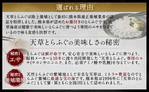 【ミシュラン2星店でも使用】【着日指定不可】【数量限定】【白子付】大皿使用　国産最高級!天草とらふぐフルコーススペシャル（8～10人前） 【2024年12月下旬～2025年3月下旬発送予定】