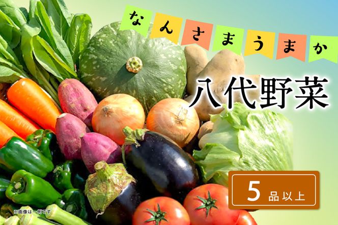 なんさまうまか八代野菜セット 5品以上 やさい 詰め合わせ 熊本県産