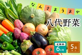 【定期便6回】なんさまうまか八代野菜セット 5品以上 やさい 詰め合わせ 熊本県産 野菜 果実 果物 くだもの フルーツ セット 季節の野菜 季節の果実 春 夏 秋 冬 旬 おまかせ 定期 国産 八代市産 熊本県