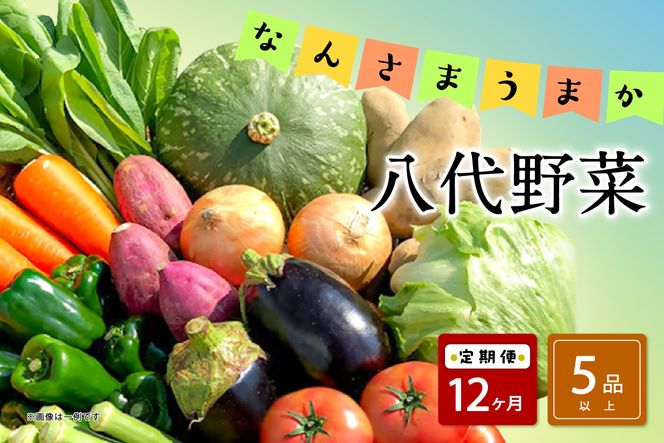 【定期便12回】なんさまうまか八代野菜セット 5品以上 やさい 詰め合わせ 熊本県産