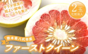 【先行予約】ファーストクイーン 2玉 サラダ感覚 熊本県 八代市産 みかん チャンドラポメロ ザボン 早生文旦 わせぶんたん ボンタン 【2026年10月下旬より順次発送】