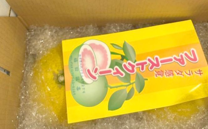 【先行予約】ファーストクイーン 2玉 サラダ感覚 熊本県 八代市産 みかん チャンドラポメロ ザボン 早生文旦 わせぶんたん ボンタン 【2026年10月下旬より順次発送】