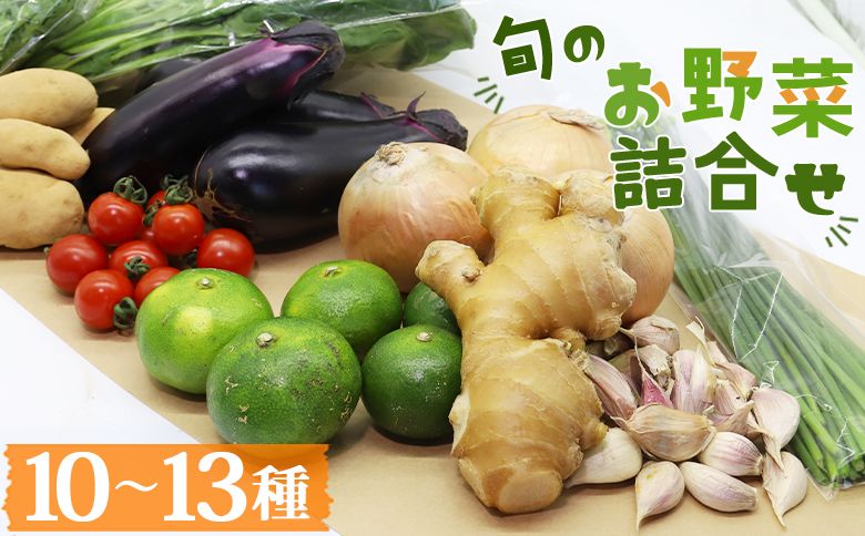 高知県香南市産 旬のお野菜詰合せ(10〜13品目) - やさい 10〜13種類 セット 詰め合わせ 季節の野菜 新鮮 料理 サラダ アレンジ おたのしみ お楽しみ おまかせ お任せ フレッシュ 国産 プライム株式会社 高知県 香南市 pr-0007