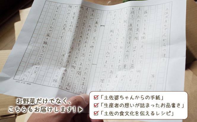 高知県香南市産 旬のお野菜詰合せ(10～13品目)  - やさい 10～13種類 セット 詰め合わせ 季節の野菜 新鮮 料理 サラダ アレンジ おたのしみ お楽しみ おまかせ お任せ フレッシュ 国産 プライム株式会社 高知県 香南市 pr-0007