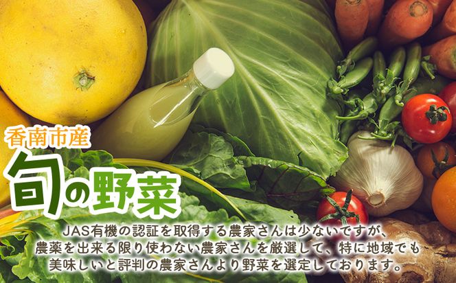 高知県香南市産 旬のお野菜詰合せ(10～13品目)  - やさい 10～13種類 セット 詰め合わせ 季節の野菜 新鮮 料理 サラダ アレンジ おたのしみ お楽しみ おまかせ お任せ フレッシュ 国産 プライム株式会社 高知県 香南市 pr-0007