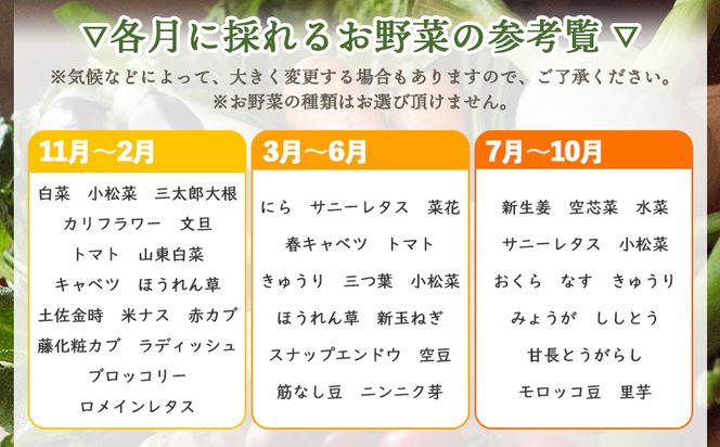 高知県香南市産 旬のお野菜詰合せ(10～13品目)  - やさい 10～13種類 セット 詰め合わせ 季節の野菜 新鮮 料理 サラダ アレンジ おたのしみ お楽しみ おまかせ お任せ フレッシュ 国産 プライム株式会社 高知県 香南市 pr-0007