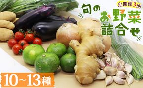 定期便3回コース 高知県香南市産 旬のお野菜詰合せ(10～13品目)  - やさい おまかせ セット 土佐野菜 新鮮 高知県 香南市 Wpr-0008