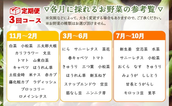 定期便3回コース 高知県香南市産 旬のお野菜詰合せ(10～13品目)  - やさい おまかせ セット 土佐野菜 新鮮 高知県 香南市 Wpr-0008