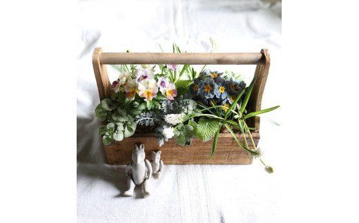 ◇お任せ◇　季節の寄せ植え