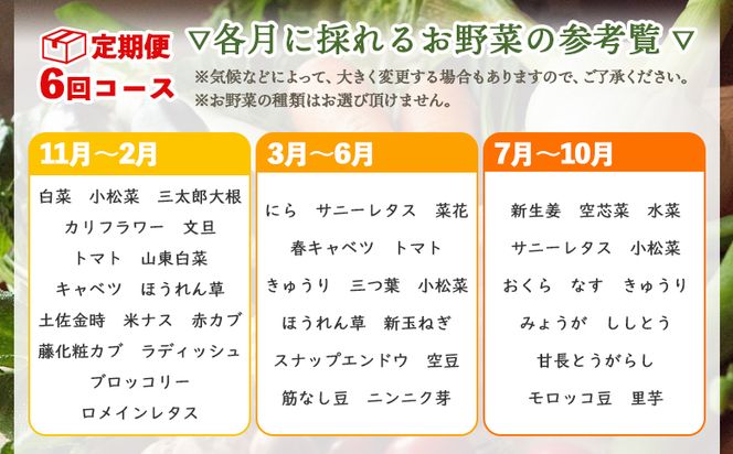 定期便6回コース 高知県香南市産 旬のお野菜詰合せ(10～13品目) - やさい おまかせ セット 土佐野菜 新鮮 Wpr-0009