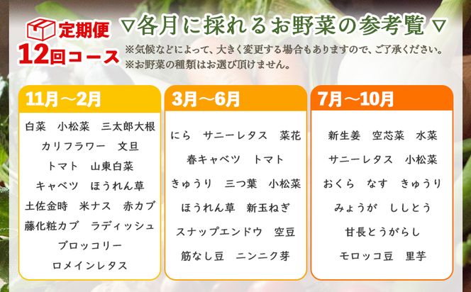 定期便12回コース 高知県香南市産 旬のお野菜詰合せ(10～13品目) - やさい おまかせ セット 土佐野菜 新鮮 高知県 香南市 Wpr-0010