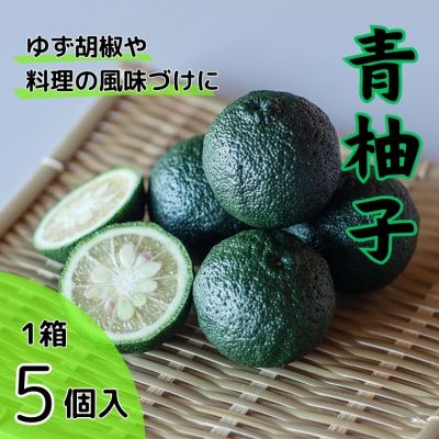 [CF]青柚子(5個入) [8月上旬-8月末頃発送][配送不可地域あり]※離島 ---sanagouchi_lcl_17_1hk---