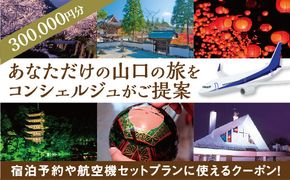 A002 山口オーダーメイド旅行プラン（300000円分）
