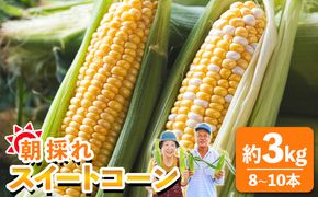とうもろこし 朝採れスイートコーン 3kg (8～10本) - 野菜 とうもろこし とうきび トウキビ BBQ キャンプ 旬 おやつ 特産品 sg-0005