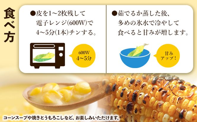 とうもろこし 朝採れスイートコーン 3kg (8～10本) - 野菜 とうもろこし とうきび トウキビ BBQ キャンプ 旬 おやつ 特産品 sg-0005
