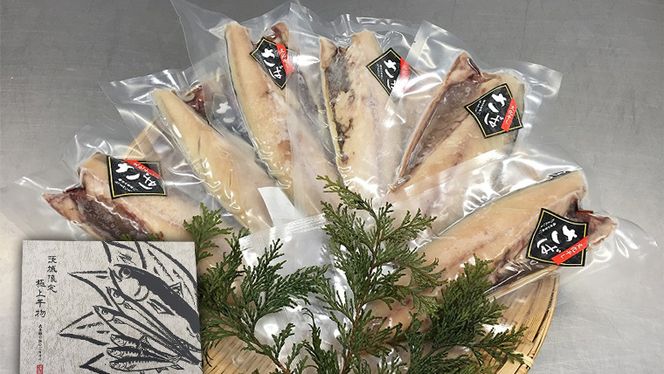 【茨城県共通返礼品／神栖市】【3ヶ月定期便】 大トロ さば文化干し （1枚 真空 × 6パック ） さば サバ 干物 塩 文化干し 食欲の秋 [CJ002ya]