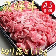 AB-27 A5飛騨牛切り落とし1kg（500g×2）