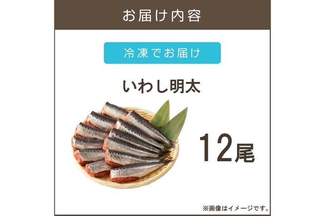 【A8-077】いわし明太 12尾
