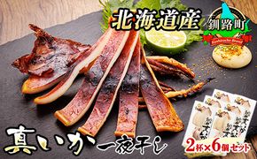 北海道産 真いか 一夜干し 2杯×6個セット | 一夜干し 烏賊 いか イカ おつまみ 焼魚 焼き魚 定食 魚 干物 セット ひもの 冷凍 人気の 訳あり！ 年内配送 年内発送 北海道 釧路町 釧路超 特産品　121-1920-450-039