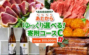 返礼品は後からゆっくり選べる寄附コース★C★ あとから選べる おすすめ 人気 カツオ カツオのたたき うなぎ 鰻 肉 酒 塩 魚 魚介 カタログ 300000円