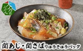 【E19002】 関あじ・関さばりゅうきゅうパック