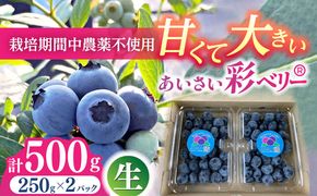 ＼毎年6月より順次発送/あいさい彩ベリー（ブルーベリー生果実）250g×2パック 【あいさいベリーLABO】 産地直送 青果ブルーベリー[AEBZ002]