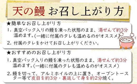 土佐料理司 戻り鰹たたき・天の鰻蒲焼き tr-0013