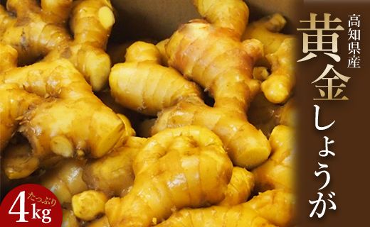 ymszI70N̐IVܖ≮ 傤4kg Xnb-0008