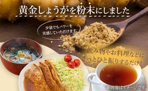 生姜 生姜パウダー 黄金しょうが粉末50g×3袋セット - 生姜 ジンジャー 数量限定 ジンジャーパウダー 生姜粉末 からだぽかぽか 冷え症対策 国産 特産品 高知県 香南市【常温】 Xnb-0006