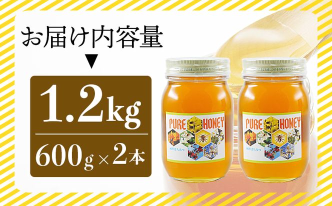 和田養蜂場 百花はちみつ(600g)2本 wh-0004