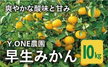 【先行受付】【数量限定】早生みかん（生果）10kg ｜ 柑橘 みかん 温州みかん ミカン 蜜柑 果物 フルーツ 愛媛県産 ｜ ※2024年11月上旬～12月上旬頃頃に順次発送予定