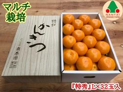 マルチ栽培 有田 みかん 化粧箱 特秀 L サイズ 32玉入 南泰園 BS662