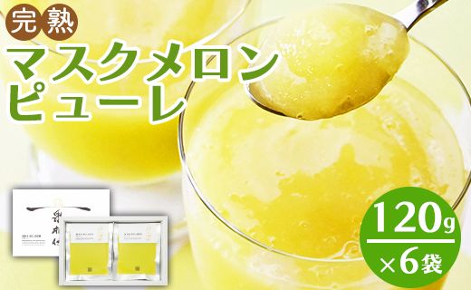ピューレ メロンピューレ メロン 青肉 「めざましどようび キクエがキクヨ!」で特集 完熟マスクメロンピューレ 120g×6袋 - 果実 果汁100% 丸搾り おもてなし おやつ ジュース 贈り物 のし 篤農 高知県 香南市 冷凍 tn-0007