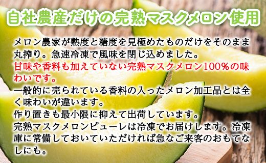 ピューレ メロンピューレ メロン 青肉 「めざましどようび キクエがキクヨ！」で特集 完熟マスクメロンピューレ 120g×6袋 - 果実 果汁100％ 丸搾り おもてなし おやつ ジュース 贈り物 のし 篤農 高知県 香南市 冷凍 tn-0007