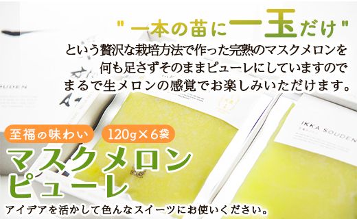 ピューレ メロンピューレ メロン 青肉 「めざましどようび キクエがキクヨ！」で特集 完熟マスクメロンピューレ 120g×6袋 - 果実 果汁100％ 丸搾り おもてなし おやつ ジュース 贈り物 のし 篤農 高知県 香南市 冷凍 tn-0007