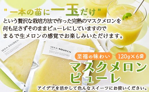 ピューレ メロンピューレ メロン 青肉 「めざましどようび キクエがキクヨ！」で特集 完熟マスクメロンピューレ 120g×6袋 - 果実 果汁100％ 丸搾り おもてなし おやつ ジュース 贈り物 のし 篤農 高知県 香南市 冷凍 tn-0007