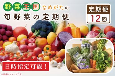 CU-130　【到着日指定可!!】【12ヶ月定期便】野菜王国なめがたの旬野菜の定期便