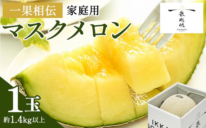 ymszyJnz}XNƒp 1ʓ t[c  ʕ fU[g ʑ` tn-0024