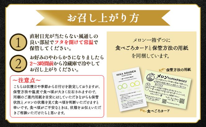 一果相伝マスクメロン家庭用 1玉入り フルーツ メロン 果物 デザート tn-0009