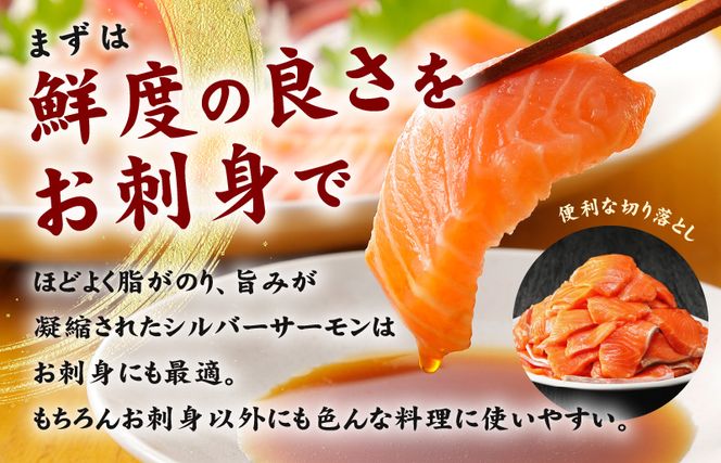 010B1195 【便利でおいしい】サーモン 切り落とし 900g 小分け 300g×3 訳あり サイズ不揃い 刺身 海鮮丼 サラダ カルパッチョ