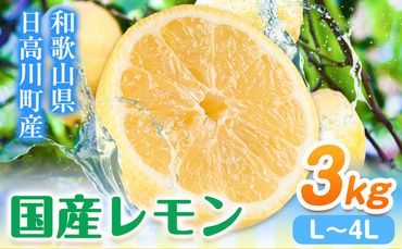 レモン 国産 レモン 3kg(L～4Lサイズ) ノーワックス 減農薬 どの坂果樹園《2024年2月上旬-6月末頃出荷》 和歌山県 日高町 レモン れもん 檸檬 旬 果物 フルーツ 柑橘 産地直送 送料無料---wsh_cdsk14_2j6m_24_10000_3kg---
