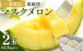 一果相伝マスクメロン家庭用 2玉入り フルーツ メロン 果物 デザート tn-0025