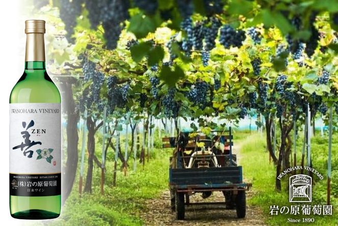 【岩の原葡萄園製造ワイン使用】鮫のワインづけ 26g×2袋 [西沢珍味販売 宮城県 気仙沼市 20563551] 魚介 魚貝 菓子 おつまみ 鮫 さめ サメ 清酒づけ