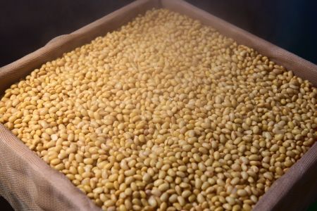 添加物不使用 手作り【こじかの白雪みそ】500g×2パック・小分け 【九州みそ 味噌汁 みそ汁 調味料】(H090102)