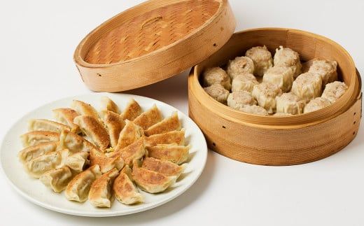 ＜たかなべギョーザのてげがっつきセット＞翌月末迄に順次出荷【c1264_tk】 2種 冷凍餃子 焼売 餃子 ぎょうざ ギョーザ しゅうまい シュウマイ