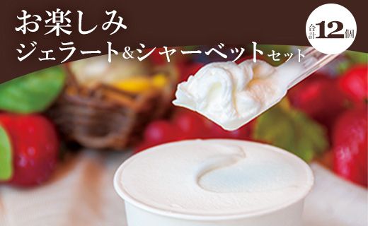 ymszh`F y݃WF[gV[xbgZbg 12 dc-0063